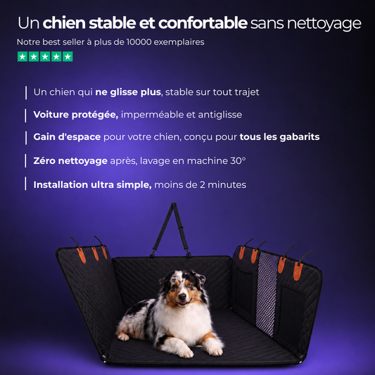 Gust banquette rigide chien
