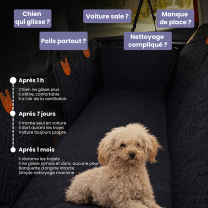 Gust banquette rigide chien