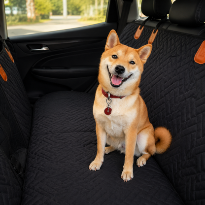 Gust banquette rigide chien