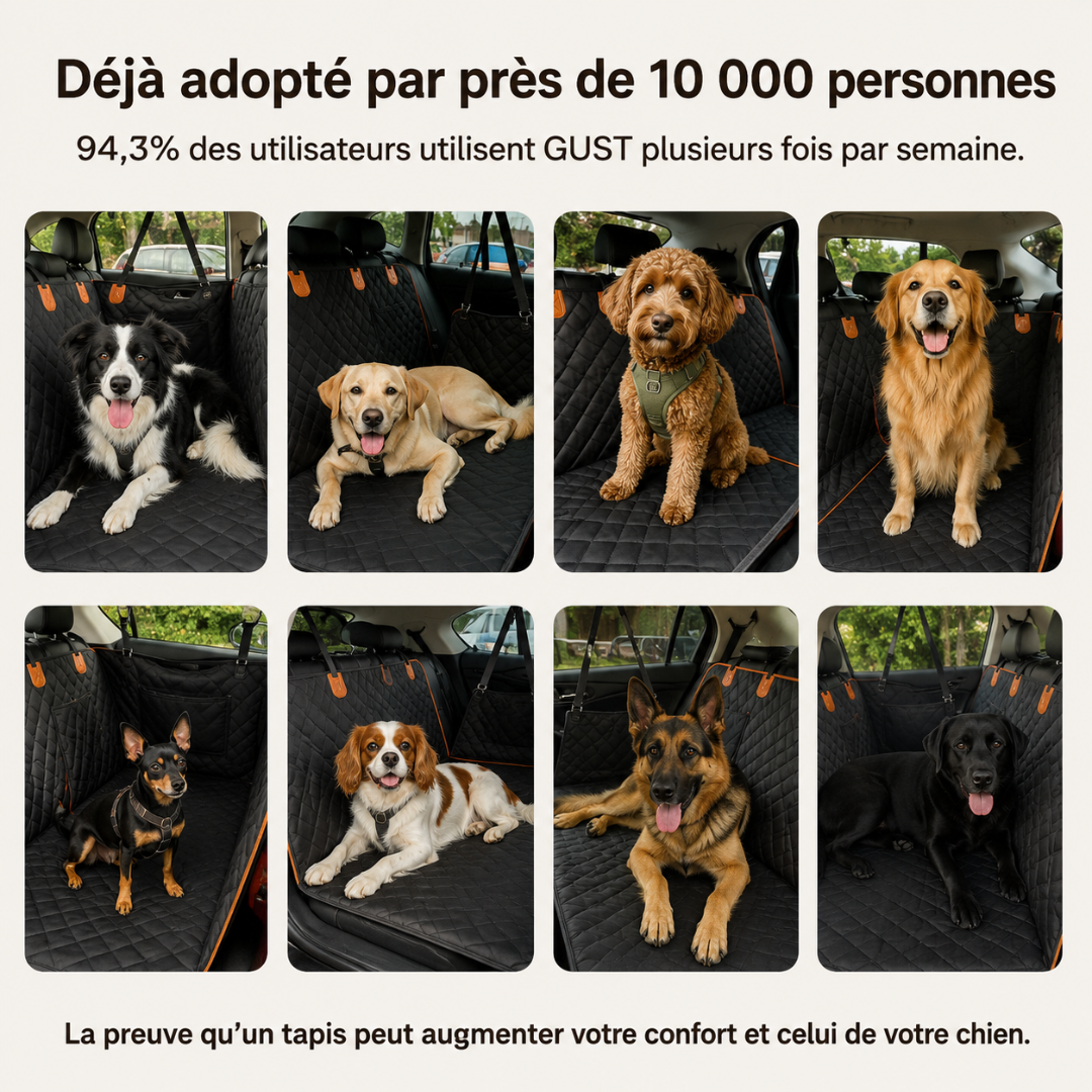 Gust banquette rigide chien